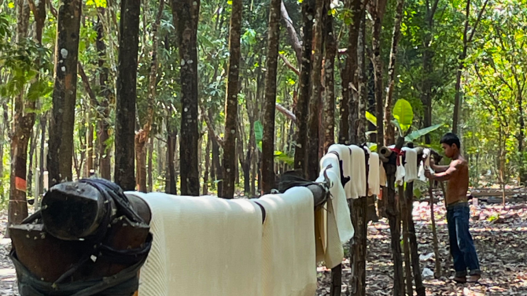 အရည်အသွေးမြင့်ရာဘာအစေးပြားထုတ်လုပ်သည့်စက်ရုံများအား ပံ့ပိုးမှုများလုပ်ဆောင်ပေးနိုင်ရန် လုပ်ငန်းပါတနာများခေါ်ယူခြင်း